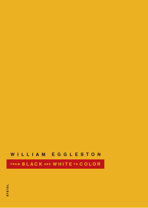 couverture du livre WILLIAM EGGLESTON FROM BLACK AND WHITE TO COLOR /ANGLAIS