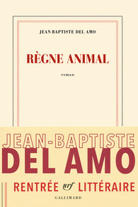 Règne animal