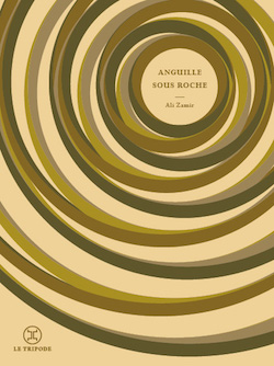 couverture du livre ANGUILLE SOUS ROCHE