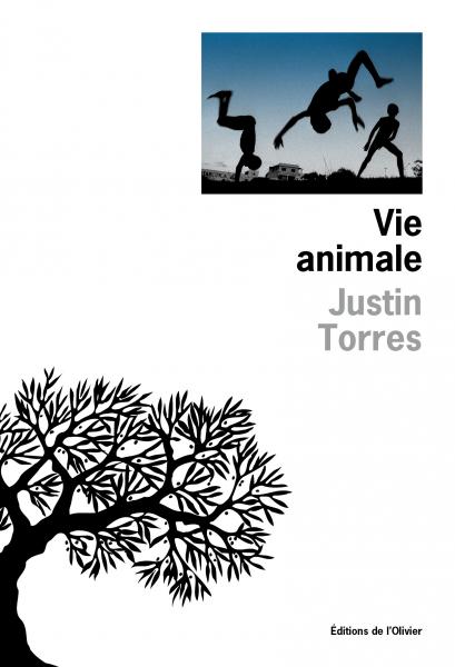 Vie animale