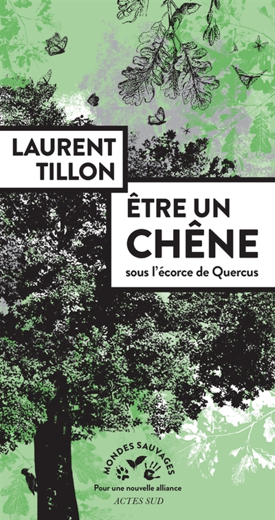 Etre un chêne : sous l'écorce de Quercus 