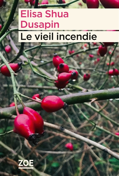 couverture du livre LE VIEIL INCENDIE